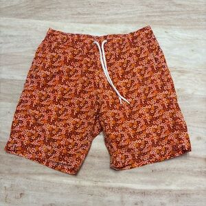 J. CREW Swim Trunks